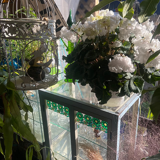 na-chanさんの部屋