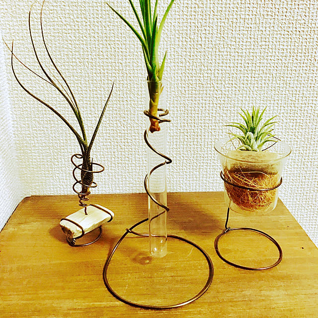ivys_storyさんの実例写真