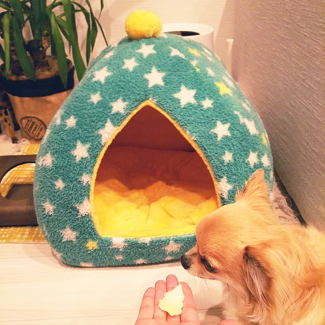 kojikojiさんの実例写真