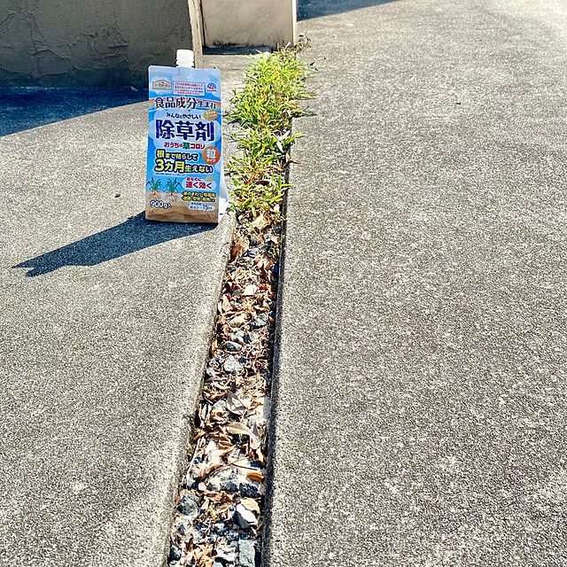 sacchiさんの実例写真