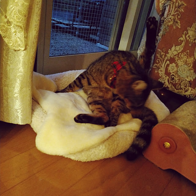 lilyさんの実例写真