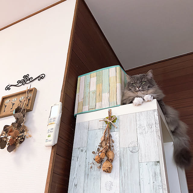 mii-tanさんの実例写真