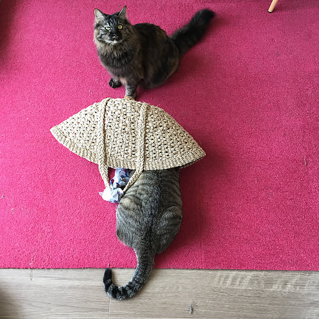 mikomaruさんの実例写真