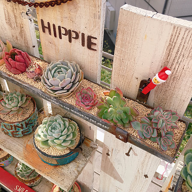 bon-bon-hippieさんの実例写真