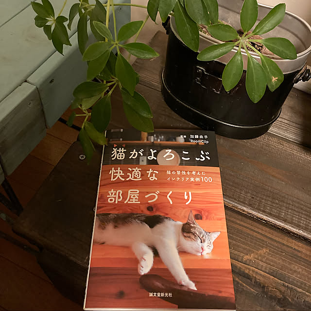 mikan161さんの実例写真