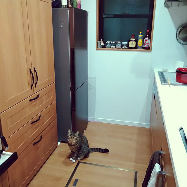 mochicoさんの実例写真