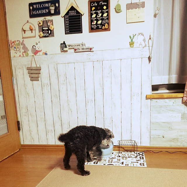 chinon7211さんの実例写真