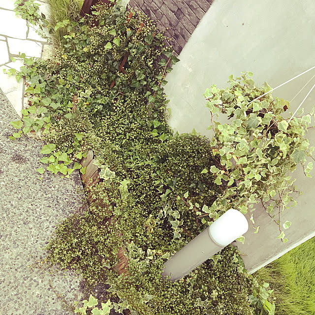 Cocoaさんの実例写真