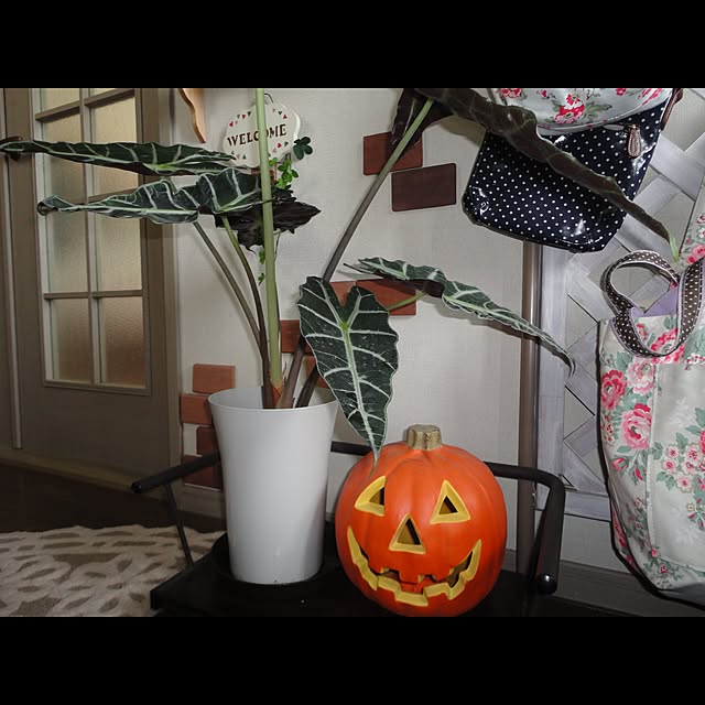AcchanSaysさんの実例写真