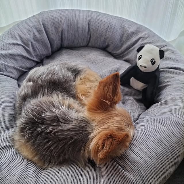 coco0.84.さんの部屋