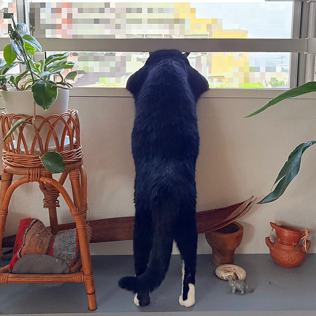ochoriさんの実例写真