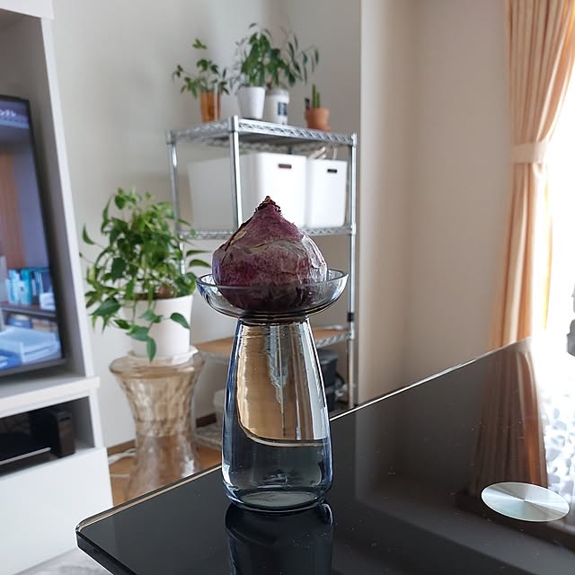 miyocoさんの実例写真