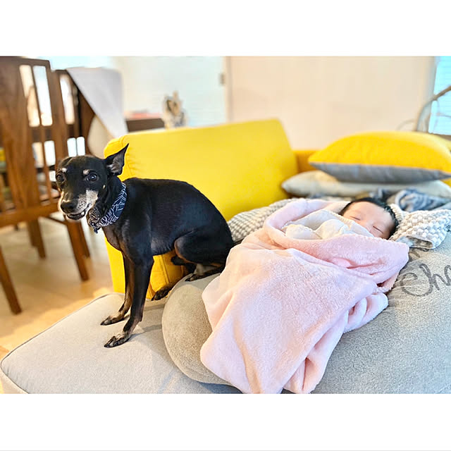 jolisukeさんの実例写真