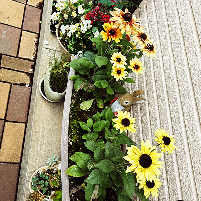 KYONさんの部屋