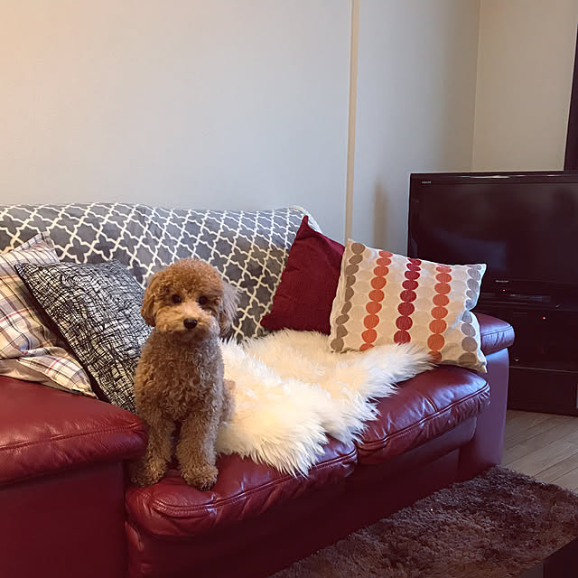 Karinさんの実例写真