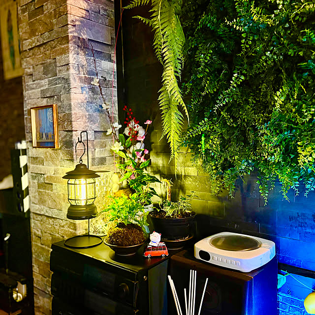 tututu0204さんの実例写真