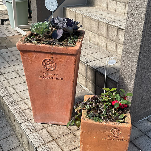 momocchiさんの部屋