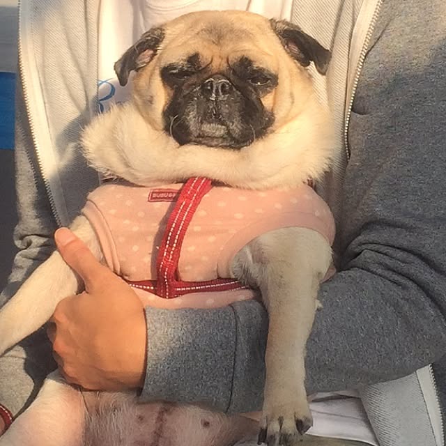 aiさんの実例写真