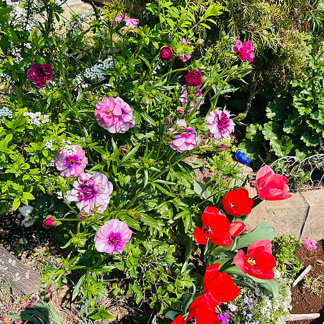 sunabaさんの部屋