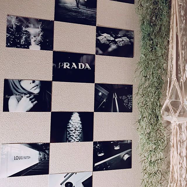 estrellaさんの実例写真