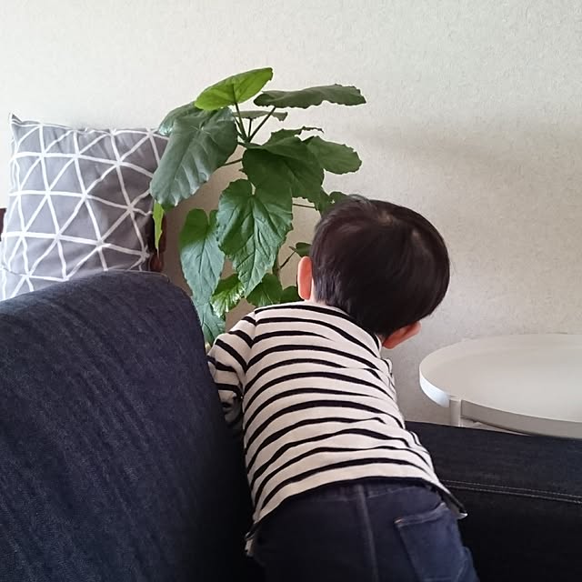 tamaさんの実例写真