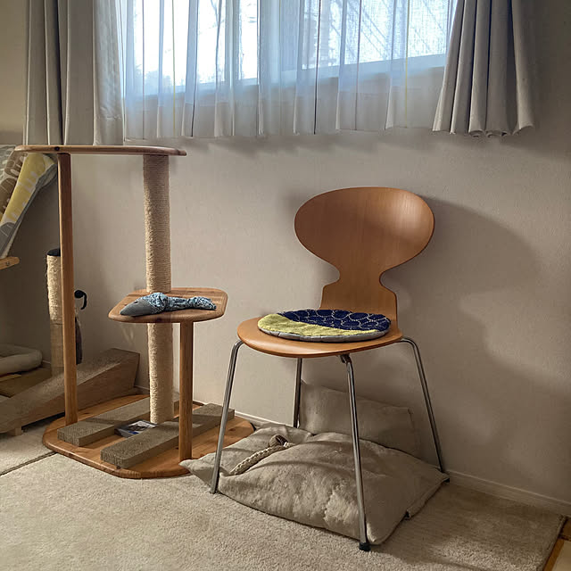 部屋全体/タンバリン/北欧インテリア/キャットタワー DIY/ニャンズ部屋...などのインテリア実例 - 2025-02-22 11:39:31
