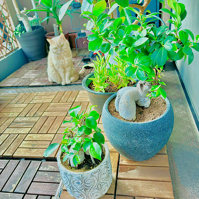 naokoさんの部屋