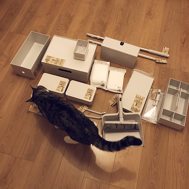 muuさんの実例写真
