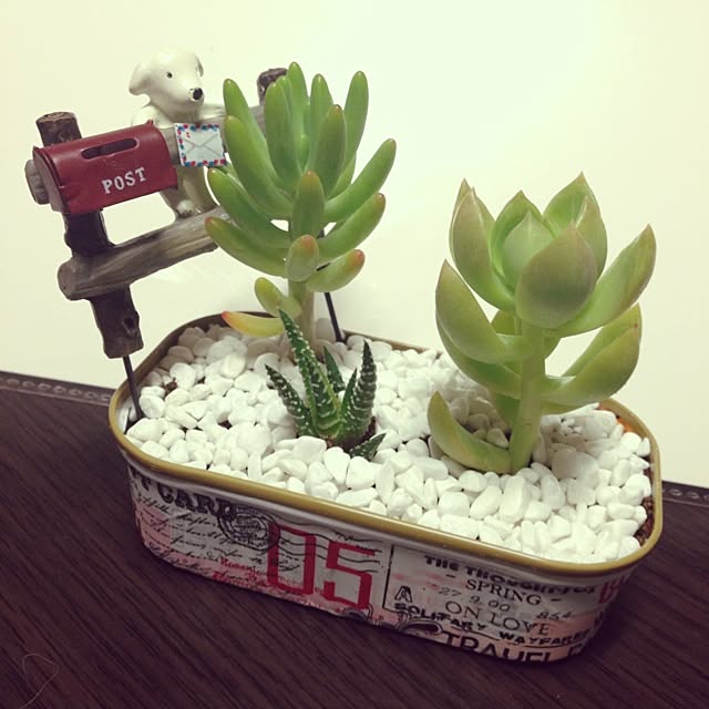 Naokoさんの実例写真