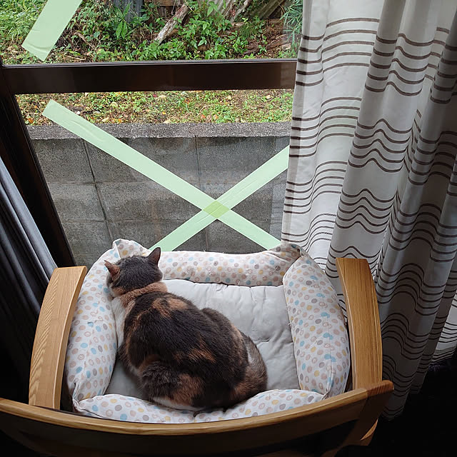 fukuさんの実例写真
