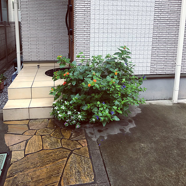 zukkoさんの実例写真