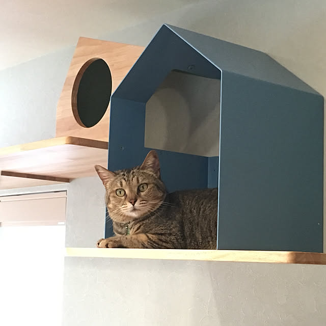 nyancohomeさんの実例写真