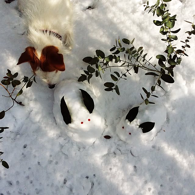 20rose_mamiさんの実例写真