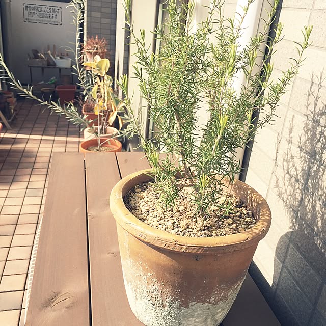 konorinokoさんの実例写真