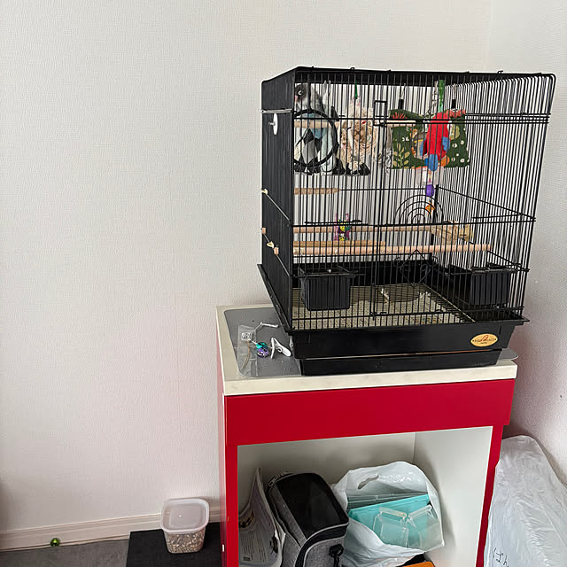 mupopo1110さんの部屋