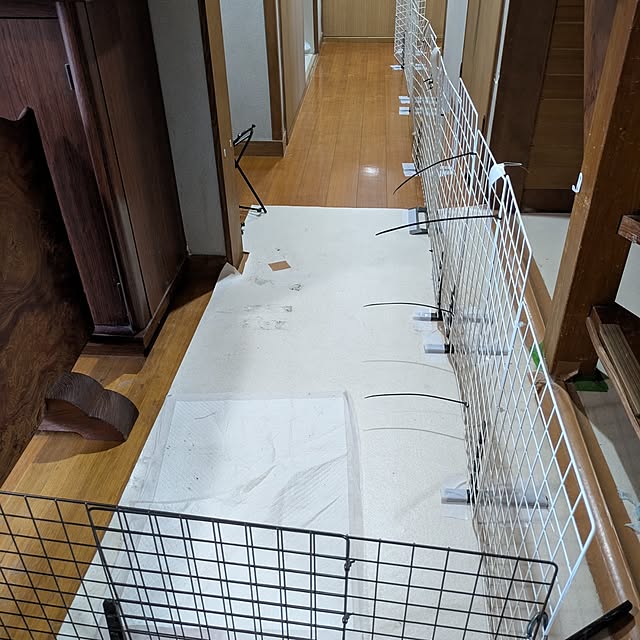 asaさんの実例写真