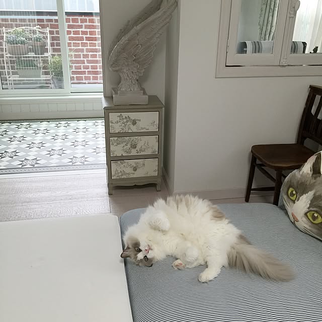 yuchiさんの実例写真