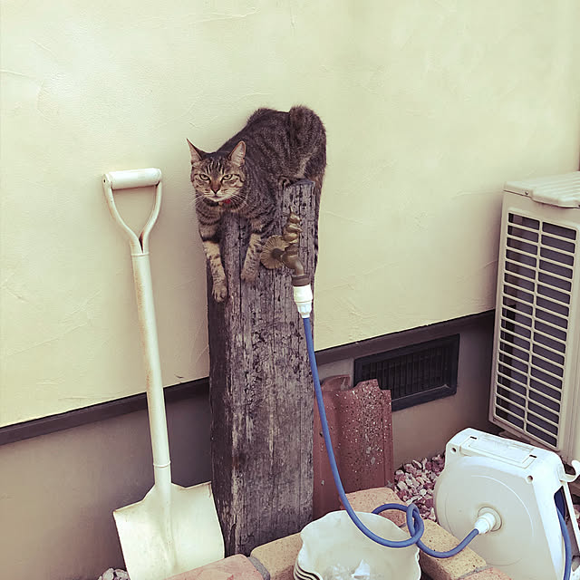 MILKさんの実例写真