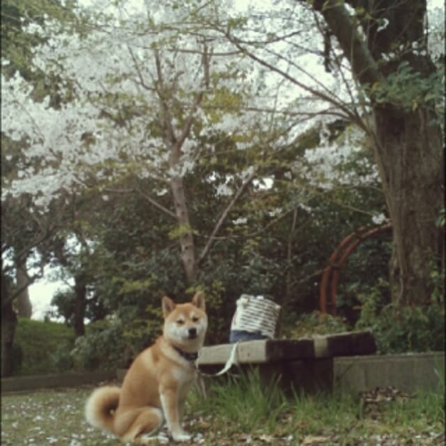kotaさんの実例写真