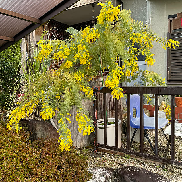 shin0719さんの実例写真