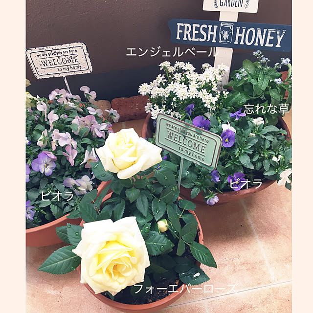 セリア 白薔薇の商品を使ったおしゃれなインテリア実例 セリア 白薔薇の商品を使ったおしゃれなインテリア実例