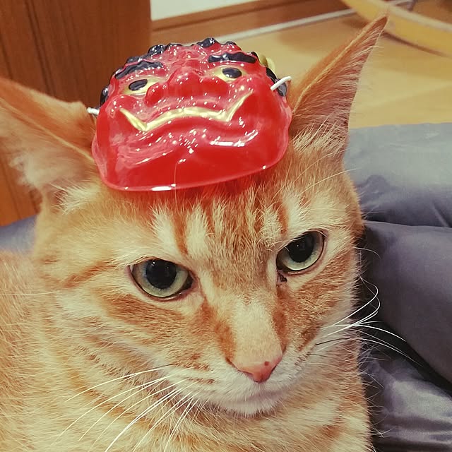mamitasuさんの実例写真