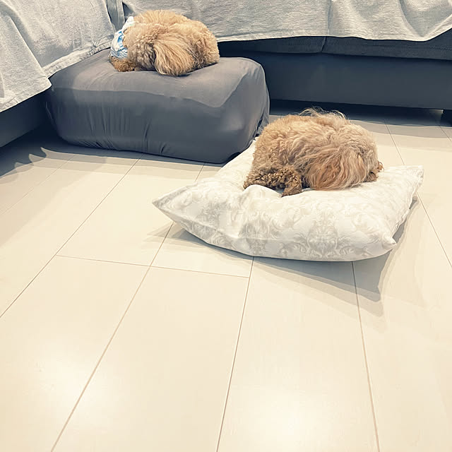 chikaさんの実例写真