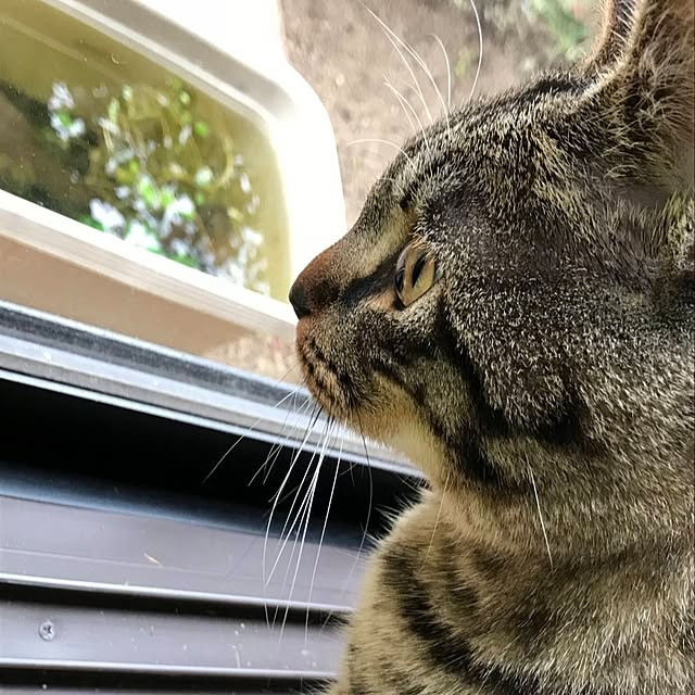 mori_6_12さんの実例写真