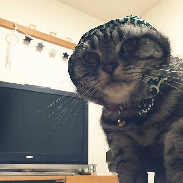 hiyupan88さんの実例写真