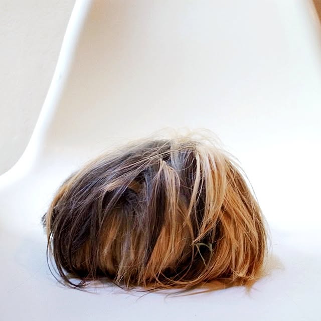 Atsushiさんの実例写真