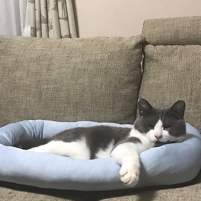 hacchiさんの実例写真