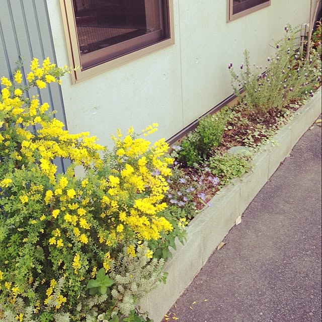 yuraaiさんの実例写真
