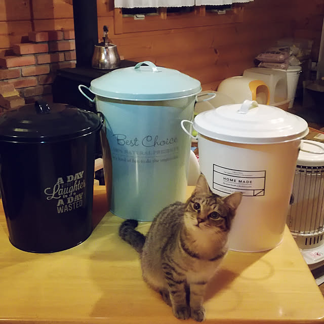 Maki-nekomamireさんの実例写真