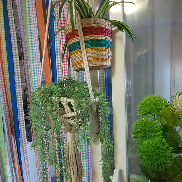 キッチン/雑貨/ニトリ/観葉植物/ダイソー...などのインテリア実例 - 2019-11-17 12:24:48